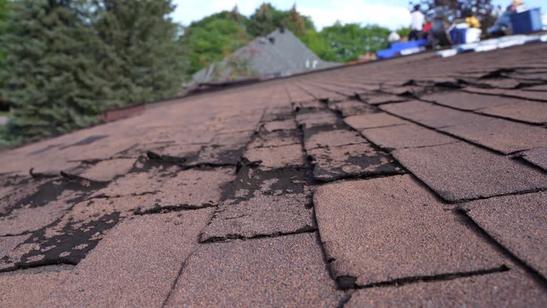 Best Sheet Metal Roofing  in Ddleville, MI