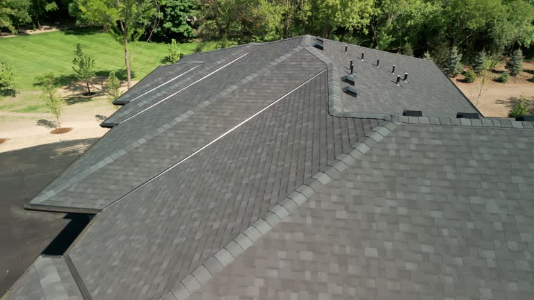Best Roof Moss and Algae Removal  in Ddleville, MI