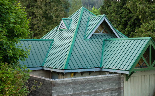 Best Roof Maintenance and Cleaning  in Ddleville, MI