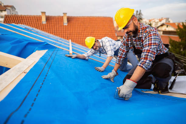 Best Roof Insulation Installation  in Ddleville, MI