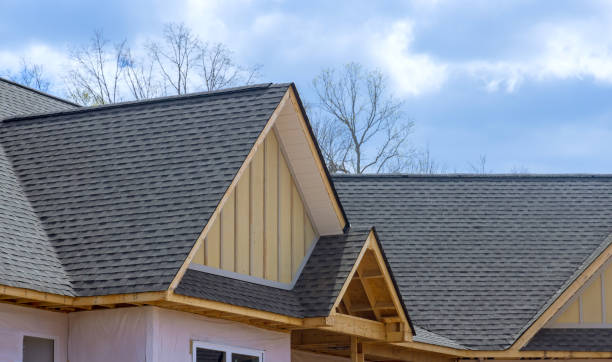 Best Steel Roofing  in Ddleville, MI