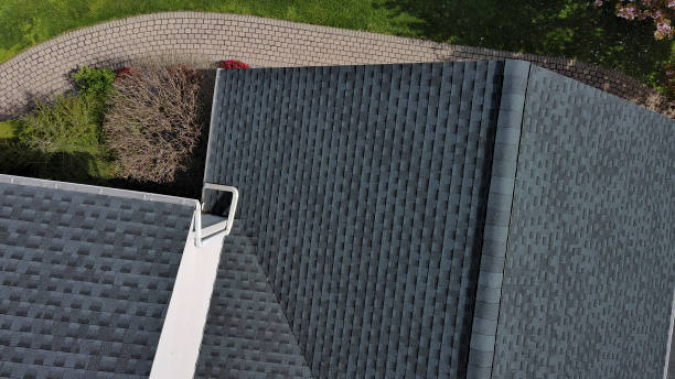 Best Green or Eco-Friendly Roofing Solutions  in Ddleville, MI